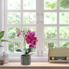 Telmo Artificial Flora 12.6 Inch decorative fake plant​ Phalaenopsis Bonsai (Purple) - Image 6