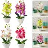 Telmo Artificial Phalaenopsis Bonsai Flower Set, Artificial Orchid Flowers - Image 9