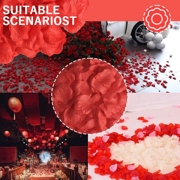 Telmo 1500 Pcs Artificial Rose Petals for wedding decro - Image 9