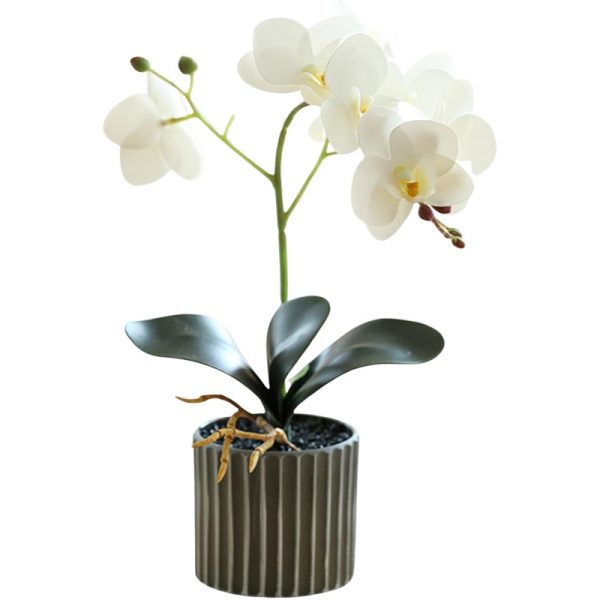 Telmo Artificial Flora 12.6 Inch Tall Realistic Artificial Orchid Plant mini Bonsai (White)