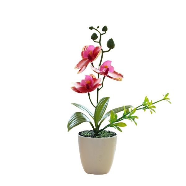 Telmo faux house plants​ artificial plants​ mini phalaenopsis orchid bonsai flower