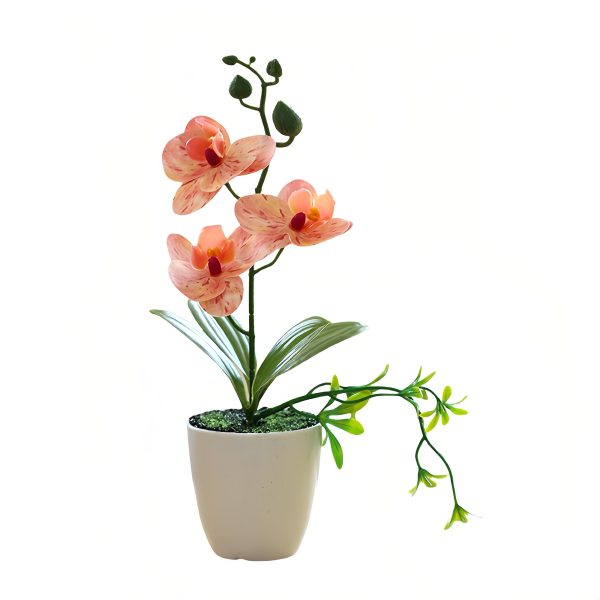 Telmo Fake indoor Plants Lifelike mini phalaenopsis orchid bonsai flower​ Spot Orange