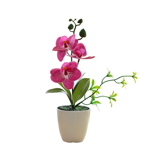 Telmo Fake plants for living room​ mini phalaenopsis orchid bonsai flower​