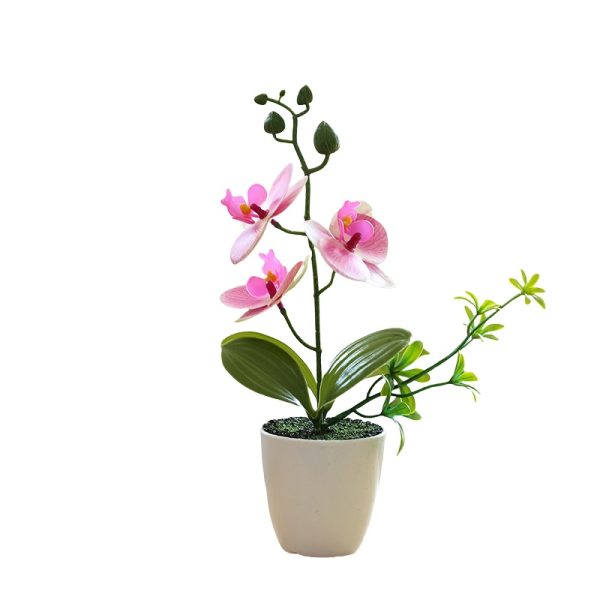 Telmo Fake House Plants​ Mini Bonsai For Home Decro,Phalaenopsis Pink with Stripes