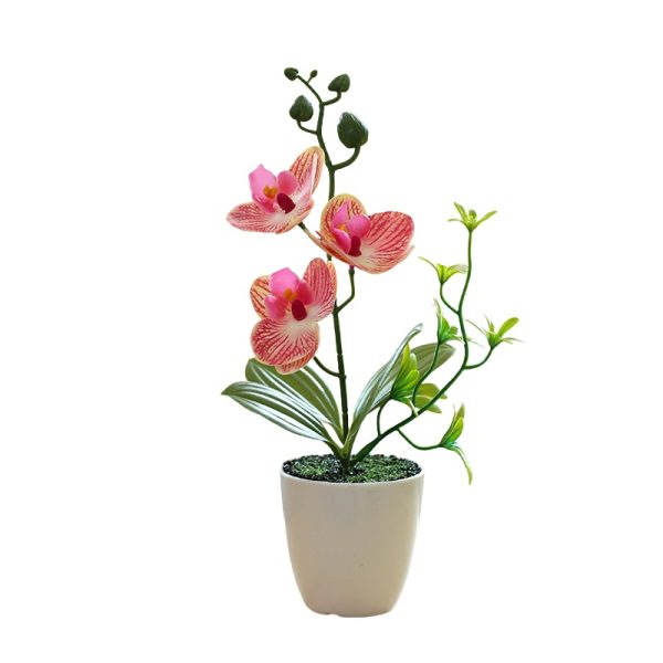 Telmo Fake House Plants​ Mini Bonsai For Home Decro,Phalaenopsis Red with Stripes