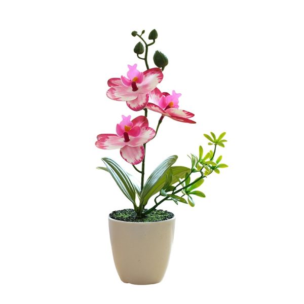 Telmo Fake potted plants 10inch mini Bonsai, Phalaenopsis Rose Red