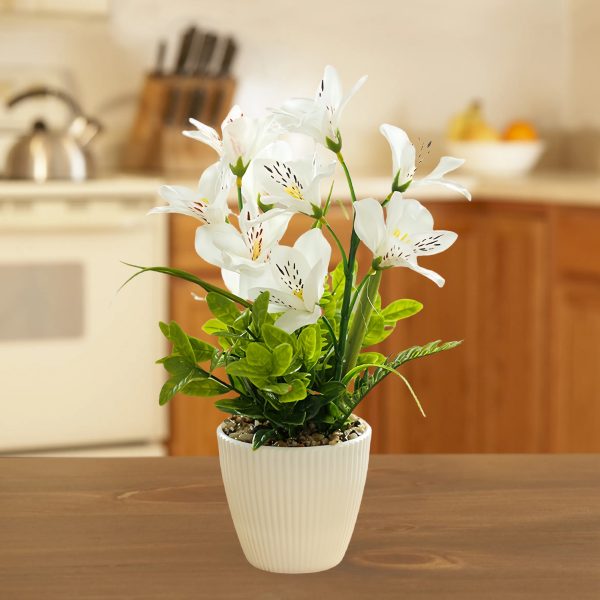 Telmo Flower White Orchid Plastic Potted Artificial Handmade Mini Plant​ - Image 3