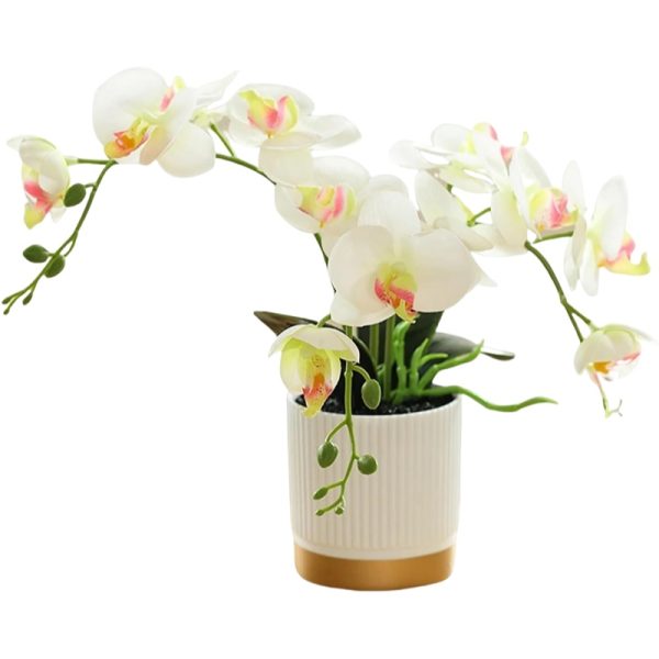 Telmo Artificial Phalaenopsis, 13inch Artificial Faux Oceania Orchid Arrangement with Vase