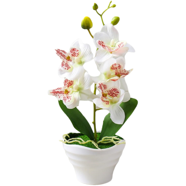 Telmo Artificial Phalaenopsis Bonsai Flower Set, Artificial Orchid Flowers - Image 6