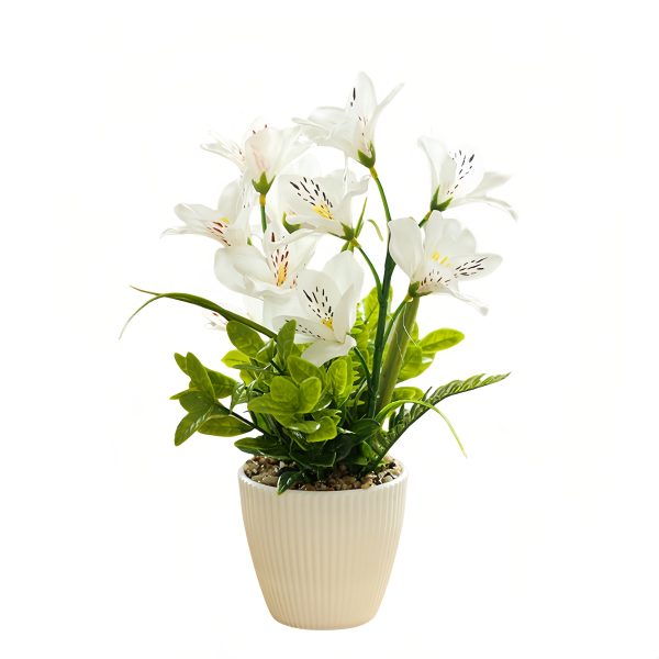 Telmo Flower White Orchid Plastic Potted Artificial Handmade Mini Plant​