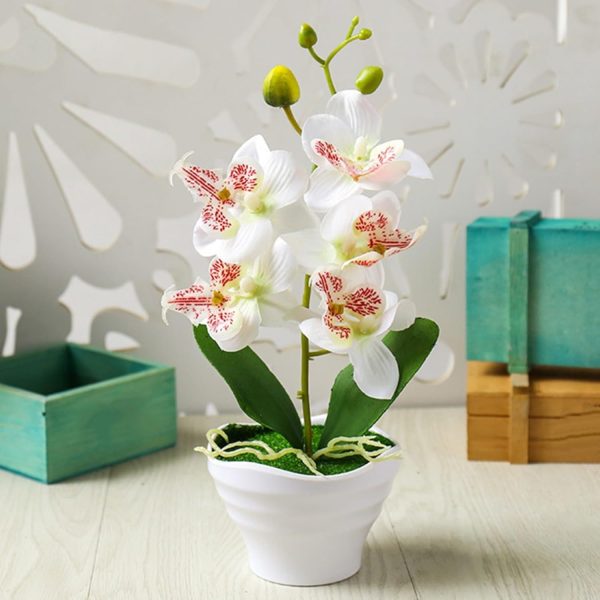 Telmo Artificial Phalaenopsis Bonsai Flower Set, Artificial Orchid Flowers - Image 5