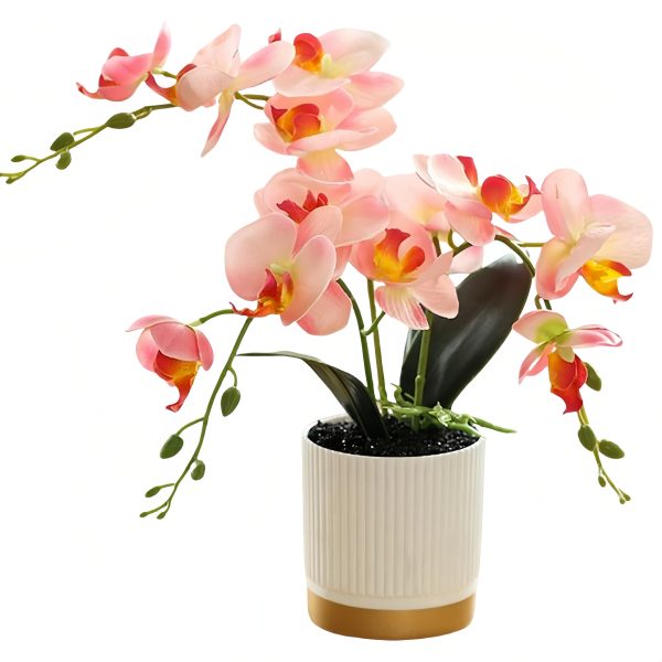 Telmo Artificial Phalaenopsis, 13inch Artificial Faux Oceania Orchid Arrangement with Vase - Image 3