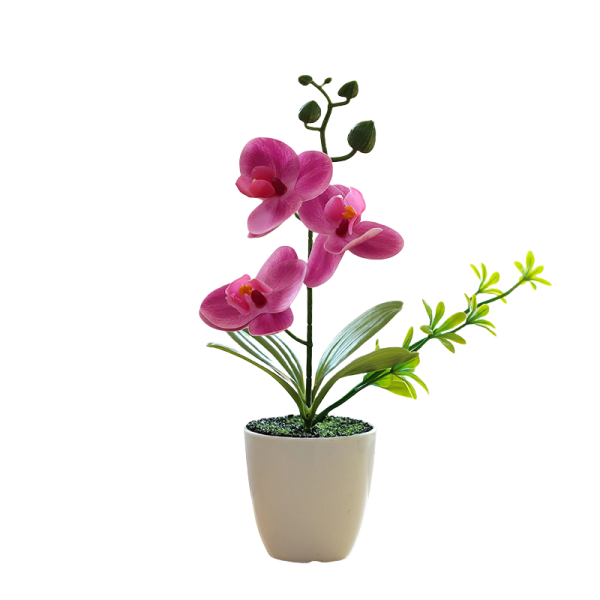 Telmo Fuchsia Fake House Plants​ Mini Phalaenopsis  Bonsai